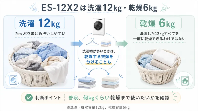 ES-12X2の特徴をひと目で確認できる全体整理図